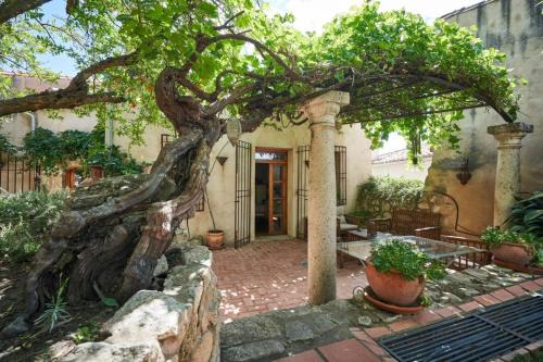 Trujillo House | Casa Jacaranda