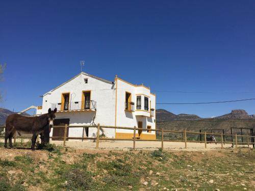 Apies House | Casa Justo