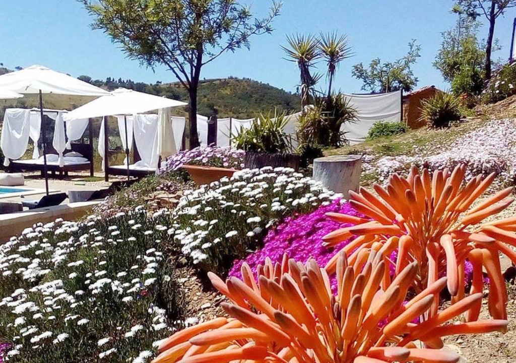 Aldeia dos Palheiros House | Casas de Campo do Castro da Cola