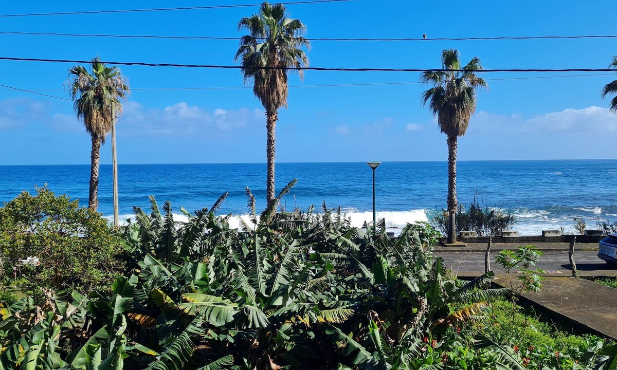 Porto Moniz Villa | Charming 4-bedroom villa Casa Palmeiras, Seixal