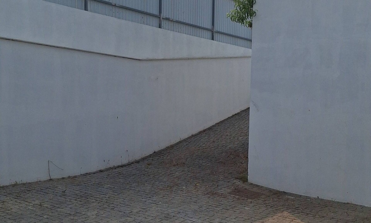 Castelo Branco House | Escapada na Beira Interior, com piscina e muito espaço!