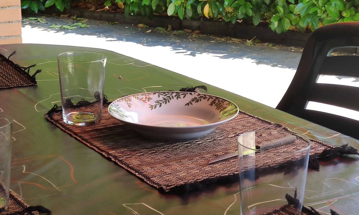 Jaca Apartment | Ground Floor Apartment with Garden and Two Bedrooms in Jaca