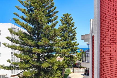 Platja de l'Arenal Apartment | Monada