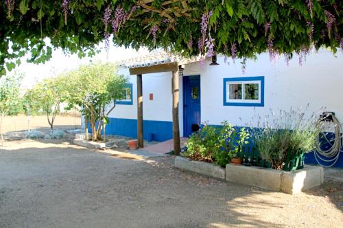 Assuncao House | Monte da contenda