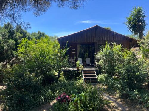 Valongo Villa | Pine Lodge - direct train to Porto
