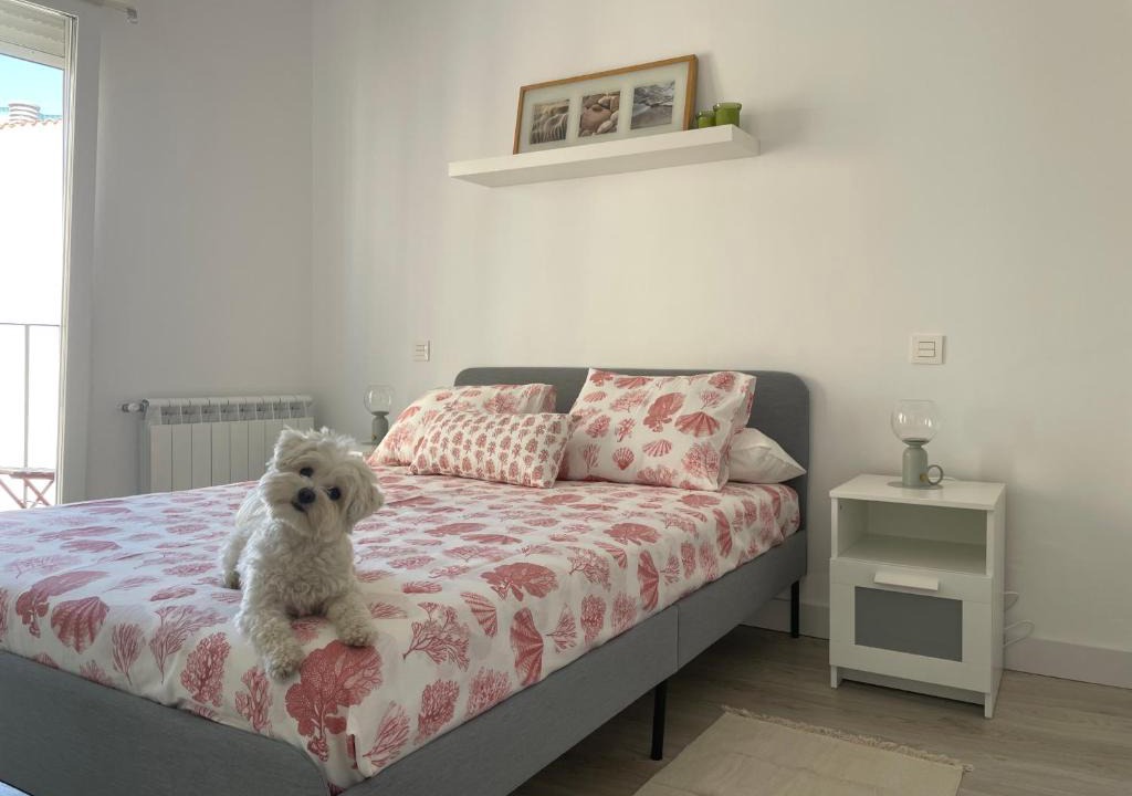 Zamora Apartment | Plata 2
