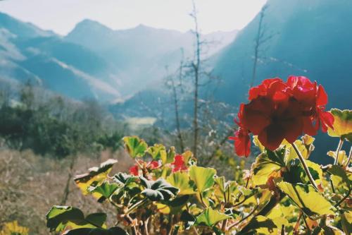 Santovena House | Sol de Asturias