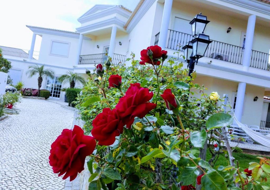 Lagos Villa | Villa Minerva