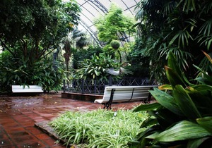 Singular Stays Botanico 202 in València