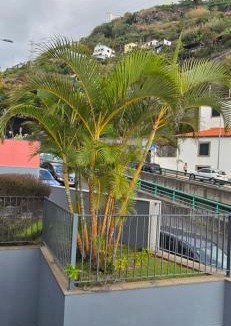 Calheta House | Casa da Praia