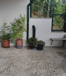 Amarante House | Casa Dionísio
