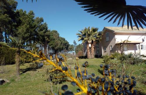 Mangualde House | Casa do soito