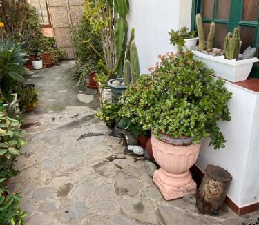 Arecida House | Casa Isabel