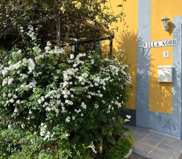 Teror Apartment | Casa Norb Teror