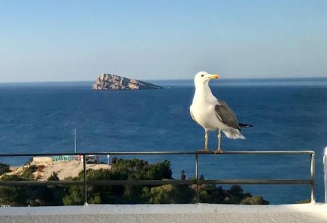 Benidorm Apartment | Duplex Villamarina