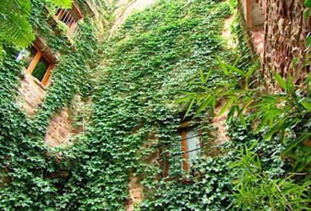 Vilafames House | El Jardín Vertical