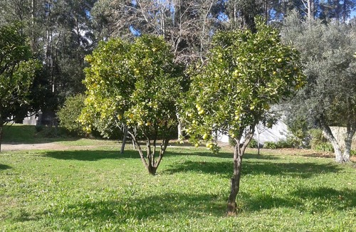 Aldreu House | Fifth in Minho Barcelos