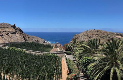 Icod de los Vinos Apartment | Finca La Punta