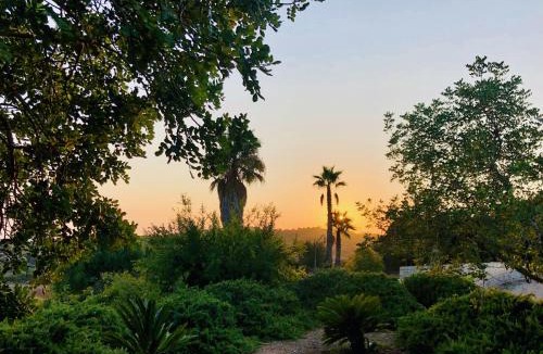 Son Macia Villa | Finca Sa Moleta Nova