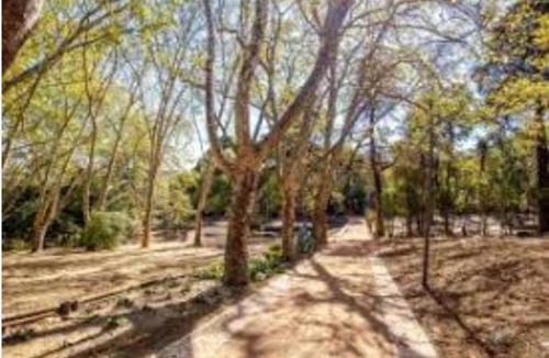 Sao Domingos de Benfica Apartment | Forest View