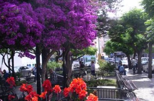 Santiago Bed & Breakfast | Lá em Cima