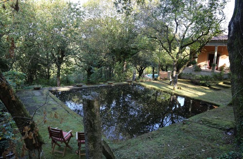 Ponte de Lima Villa | Luxury Villa With Private Pool Surrounded by Amazing Gardens