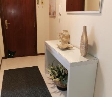 Ames Apartment | Piso Bertamiráns