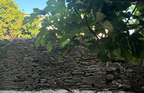Vila Real Hotel | Refúgio no Douro