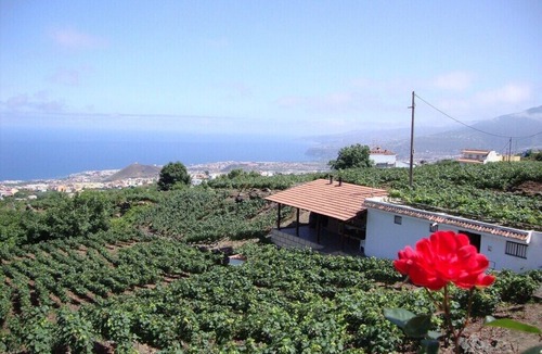 Los Realejos Cottage | Rustic Casita In The Orotava Valley Surrounded By Vineyards With HotTub and Wifi