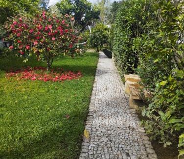 Santa Maria dos Olivais Villa | St Mary House