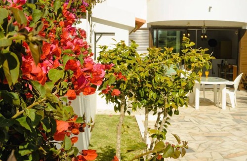 Ericeira Apartment | Studio Loureiro by Interhome