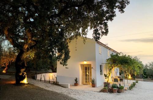 Cazorla House | Syvyle