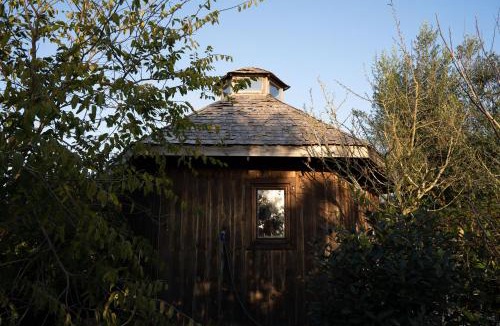 Monserrate Resort | Tinyhouse Hexagonal in Organic Farm