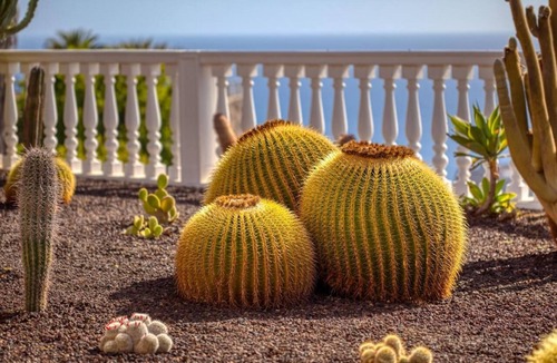 Puerto Rico Villa | Traumhafte Villa mit Atemberaubendem Ozeanblick