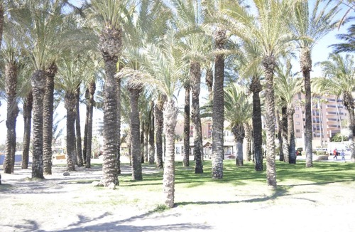Carihuela Apartment | Triana