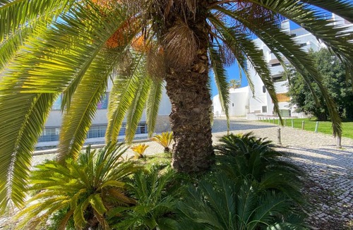 The Strip Villa | Villa da Oura