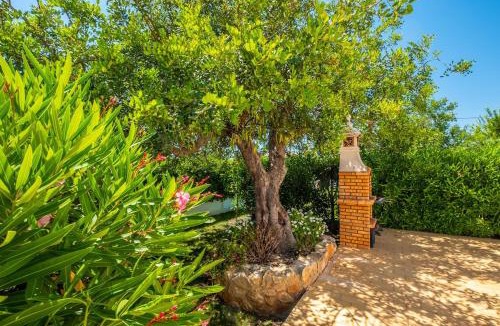 Cerro de Aguia House | Villa Guerreiro