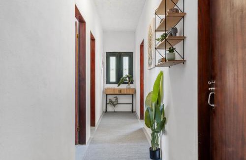 Ponta Delgada Apartment | Zen
