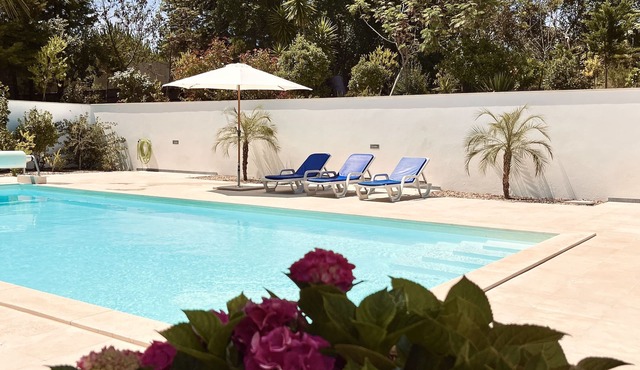2 bedroom flat near Nazaré with huge saltwater pool, pool house, mountain view in Pataias