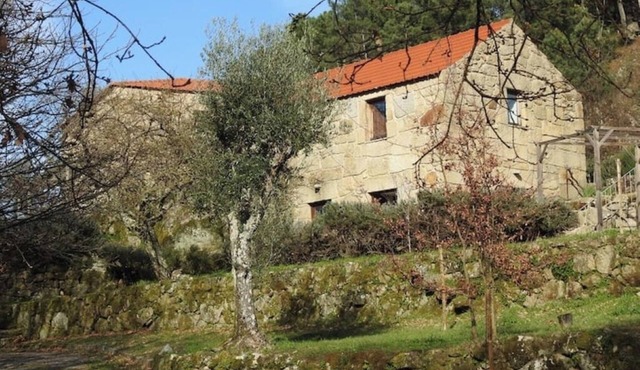 Agriturismo Pardis Douro - Bosque Room in Resende