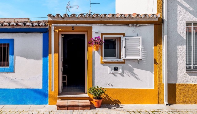 Alentejo Retreat – Village House near Alqueva in Campinho