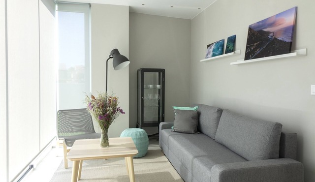 Apartamento de dos Habitaciones con Jardín - DDS Cies in Vigo