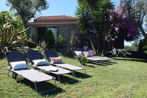 AS TAPADINHAS-Douro in Baiao