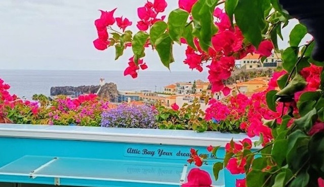 ATTIC BAY WOLF CHAMBER in Câmara de Lobos