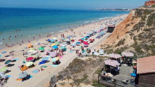 Beach Falésia Alfamar in Albufeira