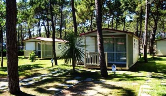 Camping - Piscine - eeec0c in Tavarede
