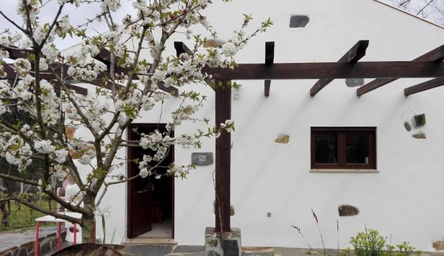 Casa da Tileira in Penacova