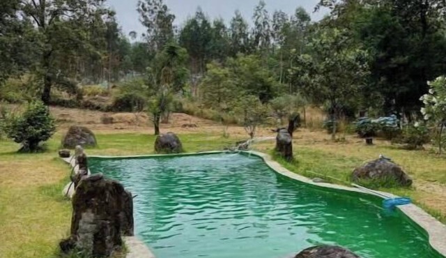 Casa do Arte - Peaceful Retreat with Pool in São Torcato