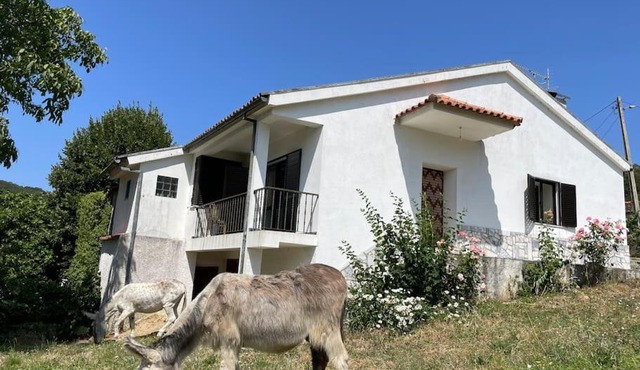 Casa Morais in Vinhais