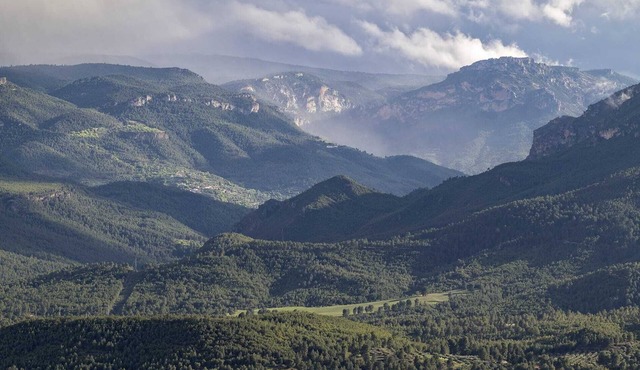 Casas de Madera en las Montañas con Piscina y Barbacoa, en la Sierra del Segura in Yeste